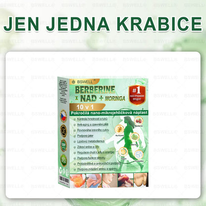 🌱🌱BSWELL® Nano mikrovpichová zeštíhlující náplast✨(Stačí použít pouze jednou denně – viditelné změny již za 28 dní) ✅Bezbolestná, dlouhotrvající, zaměřená na řešení cukrovky, obezity a kardiovaskulárních onemocnění