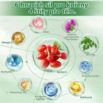🌱🌱BSWELL® Nano mikrovpichová zeštíhlující náplast✨(Stačí použít pouze jednou denně – viditelné změny již za 28 dní) ✅Bezbolestná, dlouhotrvající, zaměřená na řešení cukrovky, obezity a kardiovaskulárních onemocnění